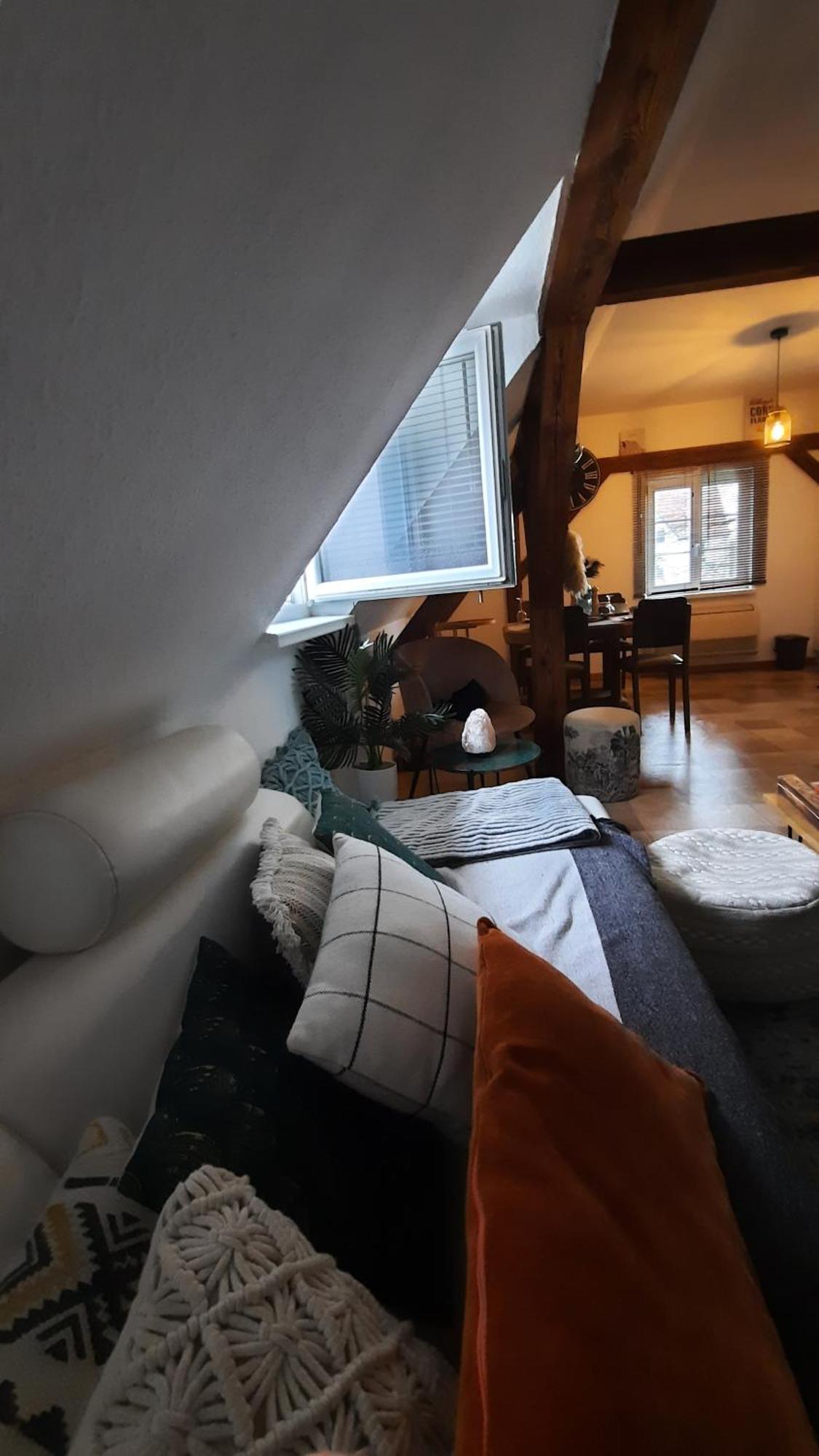 Charmant Appartement Proche Strasbourg A Eckwersheim Ngoại thất bức ảnh
