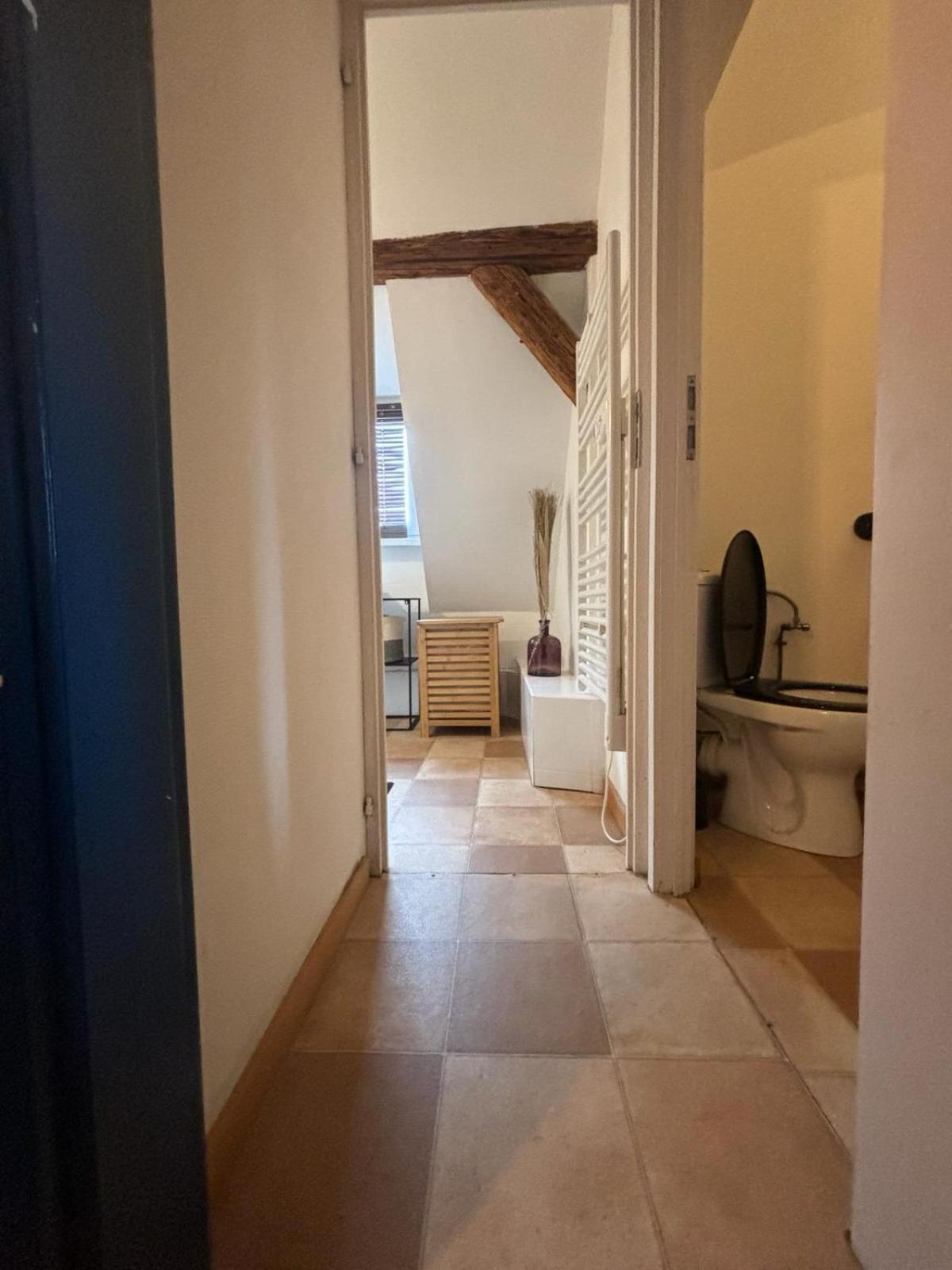 Charmant Appartement Proche Strasbourg A Eckwersheim Ngoại thất bức ảnh