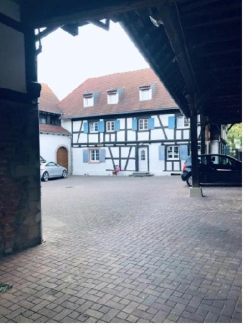 Charmant Appartement Proche Strasbourg A Eckwersheim Ngoại thất bức ảnh